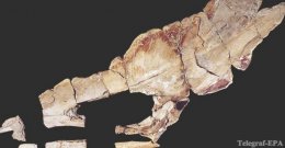 Геологи обнаружили кости летающих "волжских драконов" (ФОТО)