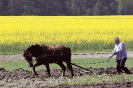 Большинство украинцев считает, что Украина движется в неправильном направлении