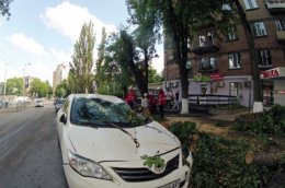 В Киеве поваленные ветром деревья раздавили три машины (ФОТО)