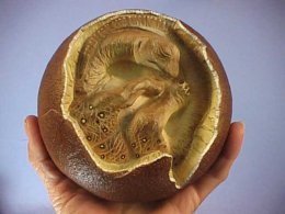 Реально ли возродить динозавра из окаменевших яиц (ФОТО)