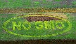 Генно-модифицированная продукция в Украине под запретом