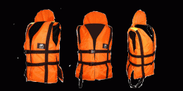 Каждому журналисту выдадут по оранжевой жилетке и персональному милиционеру (ВИДЕО)