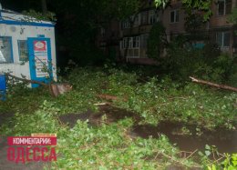 В Одессе из-за стихии отменены все общегородские праздники (ВИДЕО)