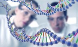 Людям стоит всерьёз опасаться кражи генетической информации