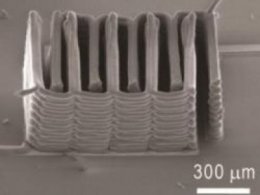 Физики напечатали вживляемую 3D микробатарейку (ФОТО)