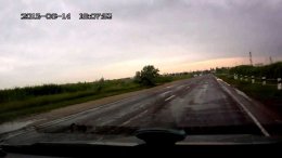 Водитель маршрутного такси раздавил утку с выводком (ВИДЕО)