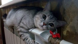 Украину ждет нелегкий отопительный сезон