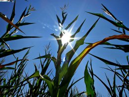 Погода в Украине на выходные, 22 и 23 июня