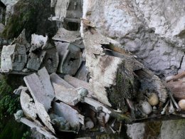 В Индонезии покойники с помощью магов сами идут на кладбище (ФОТО)