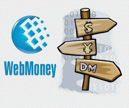 Кто стоит за проверками в офисе WebMoney
