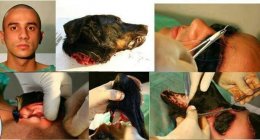 Житель Бразилии решил стать собакой с помощью хирурга (ФОТО)