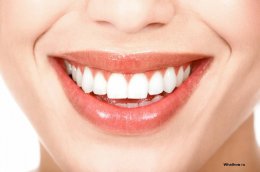 В организме человека можно запустить процесс регенерации зубов