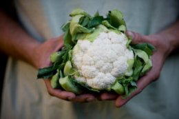 Овощи, мякоть у которых белого цвета, крайне полезны для организма