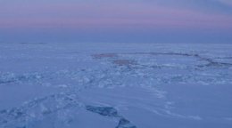 В Антарктиде разлилось подледное озеро