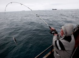На Аляске поймали двухсотлетнего окуня (ФОТО)