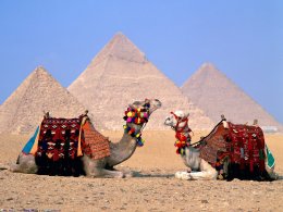 На курортах Египта ввели чрезвычайное положение
