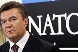Виктор Янукович приказал возобновить сотрудничество с НАТО