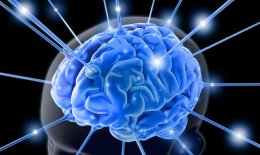 Калифорнийские учёные расшифровали мысли человека и создали словарь мозга