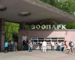Счета Киевского зоопарка арестованы