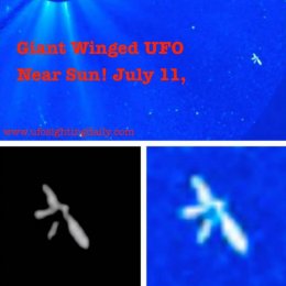 NASA зафиксировало огромный крылатый НЛО между Землей и Солнцем (ВИДЕО)