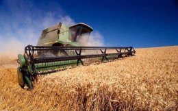 Арбузов считает важным удержать цену на зерно