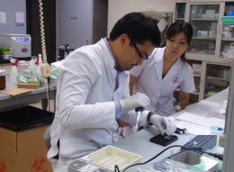 Япония: прорыв в использовании стволовых клеток
