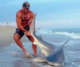 Американец устроил бой с 2-метровой акулой прямо на пляже