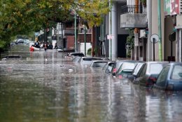 В Китае можно поймать рыбу прямо на дороге