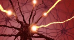 Нейроморфные чипы способны имитировать когнитивные процессы мозга