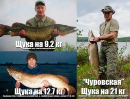 В Интернете рыбалку Владимира Путина считают фейком
