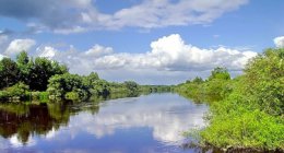 Погода в Украине на среду, 31 июля