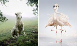 Окружающий мир фотографа Симена Йохана - такой узнаваемый и фантастический одновременно (ФОТО)