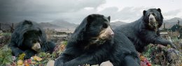 Окружающий мир фотографа Симена Йохана - такой узнаваемый и фантастический одновременно (ФОТО)