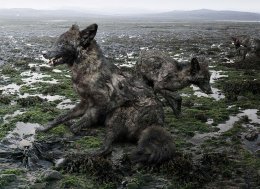 Окружающий мир фотографа Симена Йохана - такой узнаваемый и фантастический одновременно (ФОТО)