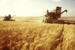 Экспорт зерна в Украине идет бешеными темпами