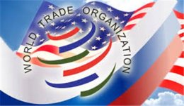 "Батькивщина" предложила давить на Россию через ВТО