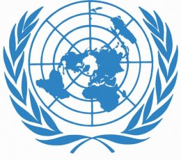 В Сирию прибыли члены комиссии ООН