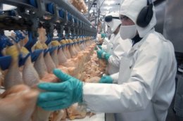 Казахстан запретил ввоз "зараженной" украинской курятины