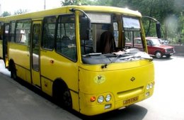 Попов думает на сколько повысить тарифы на маршрутки