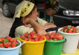 Пенсионеров-предпринимателей хотят освободить от налогообложения