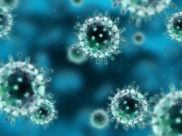 Ученые бьют тревогу: 320 тыс. неизвестных науке вирусов могут атаковать человечество