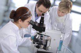 Ученым удалось заменить иммунитет искусственными трансплантатами