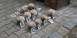 В Праге нашли 16 человеческих черепов