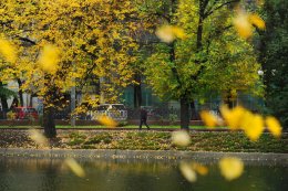 Погода в Украине на пятницу, 20 сентября