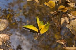 Погода в Украине на вторник, 24 сентября