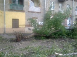 Сильнейшая буря пронеслась по Львовской области (ВИДЕО)