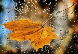 Погода в Украине на среду, 25 сентября