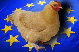 ЕС откроет свой рынок для украинских товаров