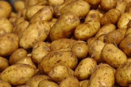 Украинцев ждет новое подорожание