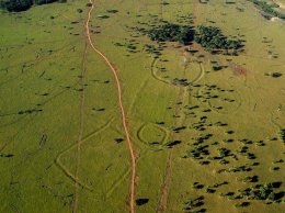 В Амазонии нашли следы самой древней и загадочной цивилизации (ФОТО)